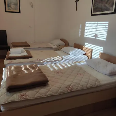 招待所 里贾纳芒迪旅馆