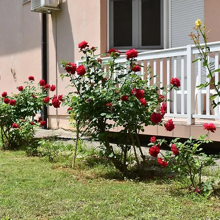 Regina Mundi