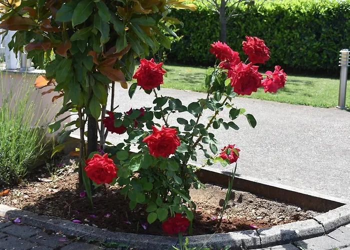 Regina Mundi Pensjonat 3*